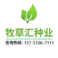 磚機托板_塑膠托板_空心磚_免燒磚托板 - 以諾托板廠家
