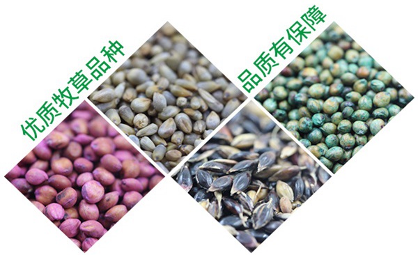 磚機托板_塑膠托板_空心磚_免燒磚托板 - 以諾托板廠家